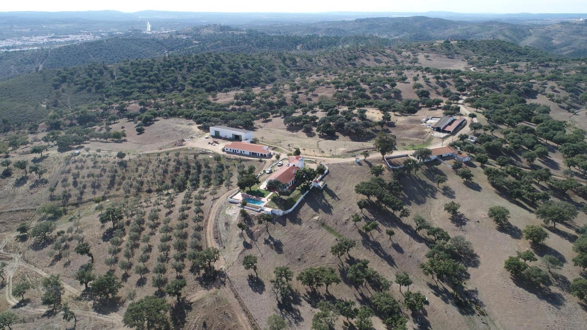 Herdade Vale De Cabras Portel Exterior photo