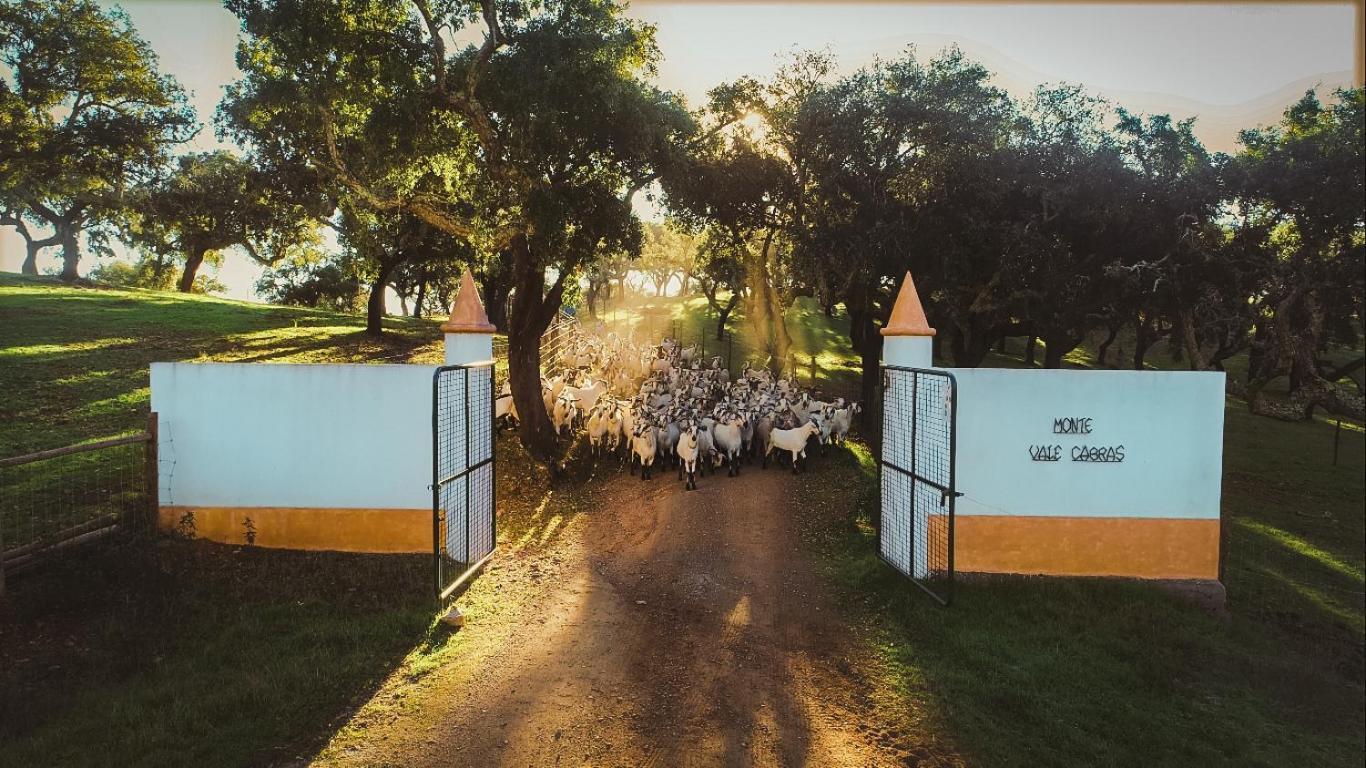 Herdade Vale De Cabras Portel Exterior photo