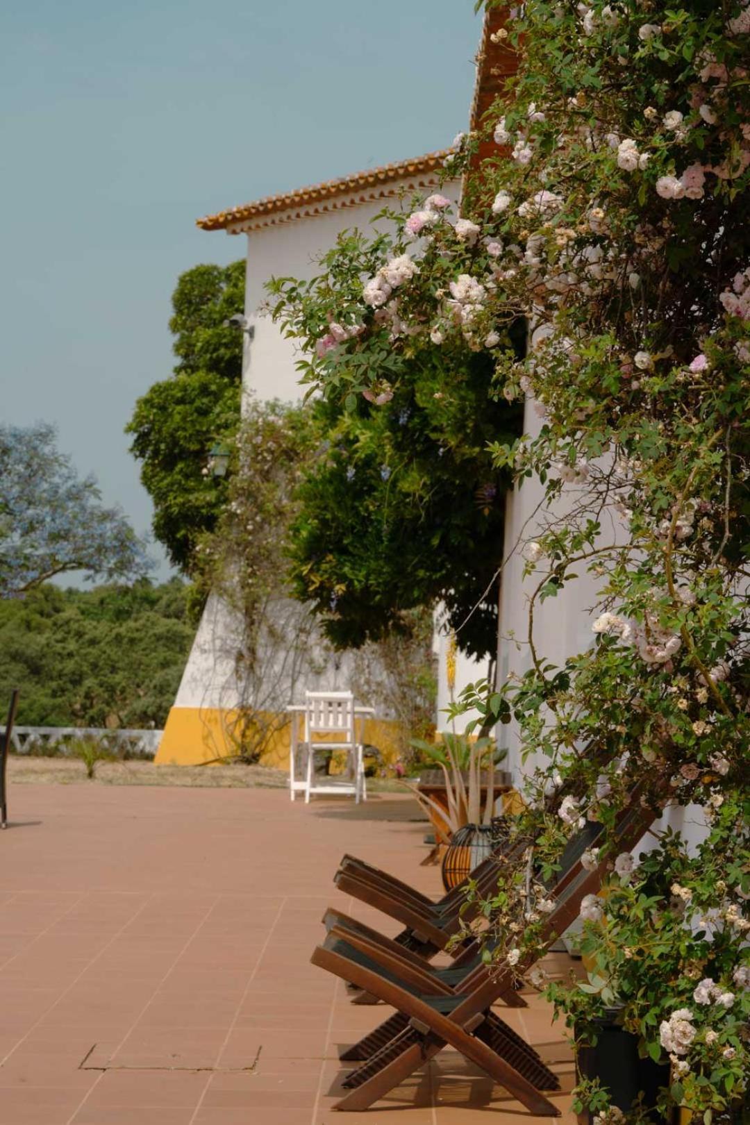 Herdade Vale De Cabras Portel Exterior photo